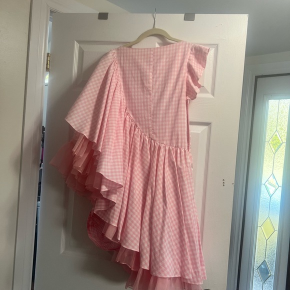 Pink Gingham Statement Dress - Picture 8 of 11